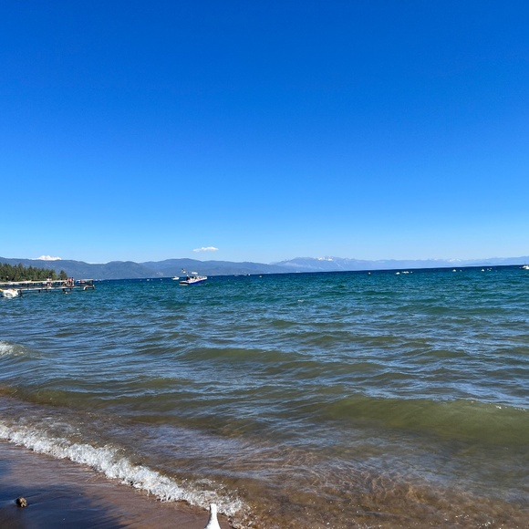 Meet your Posher, Marta - Picture 1 of 1